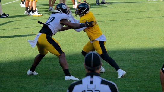 Harris makes an impression, leaves Heyward angry taken at Heinz Field (Steelers)